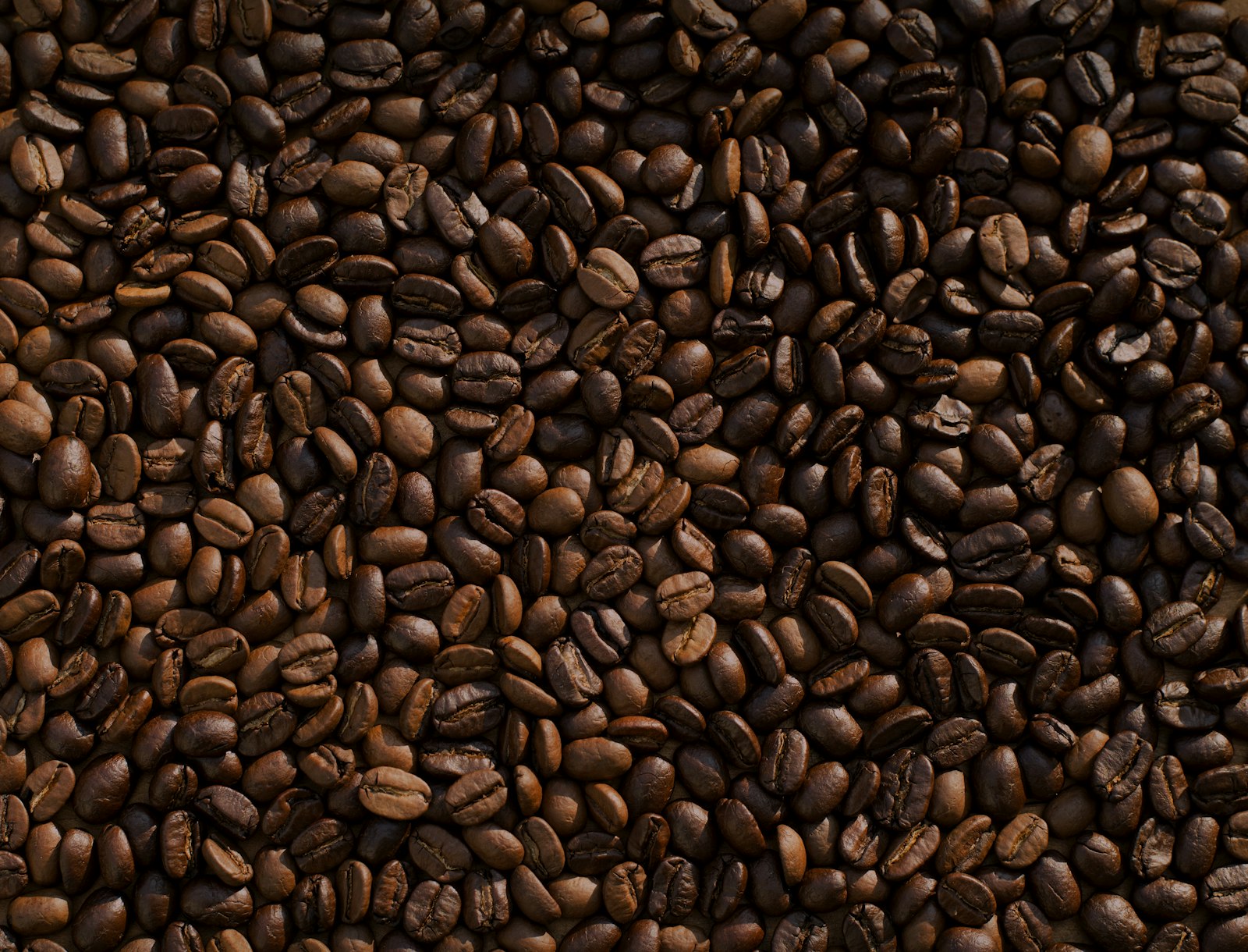 Wholesale sacks of roasted coffee ready for café delivery